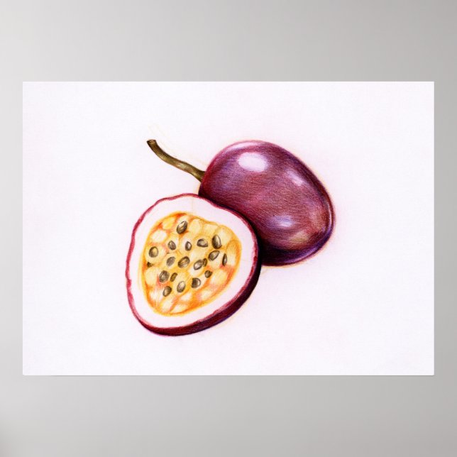 Poster Ilustração Botânica (Frente)