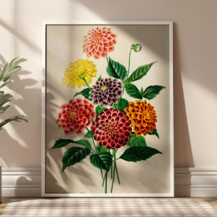Poster Ilustração Botânica de Buquê de Flores Vintage