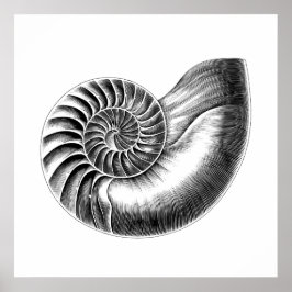 Poster Ilustração Científica Nautilus Anítico Preto