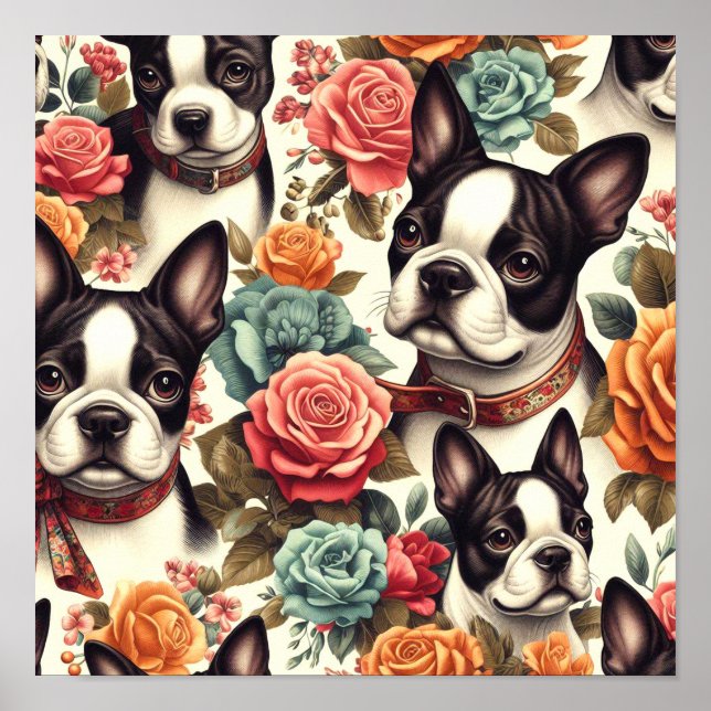 Poster Ilustração Cute Boston Terrier (Frente)