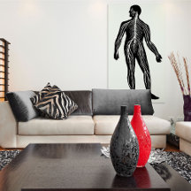 Ilustração da Anatomia do Sistema Nervoso Humano