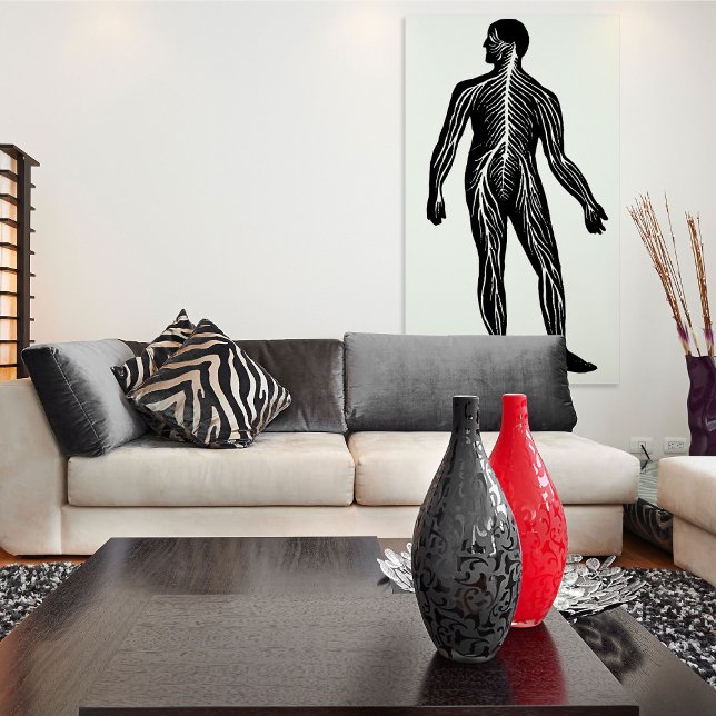 Poster Ilustração da Anatomia do Sistema Nervoso Humano (Criador carregado)