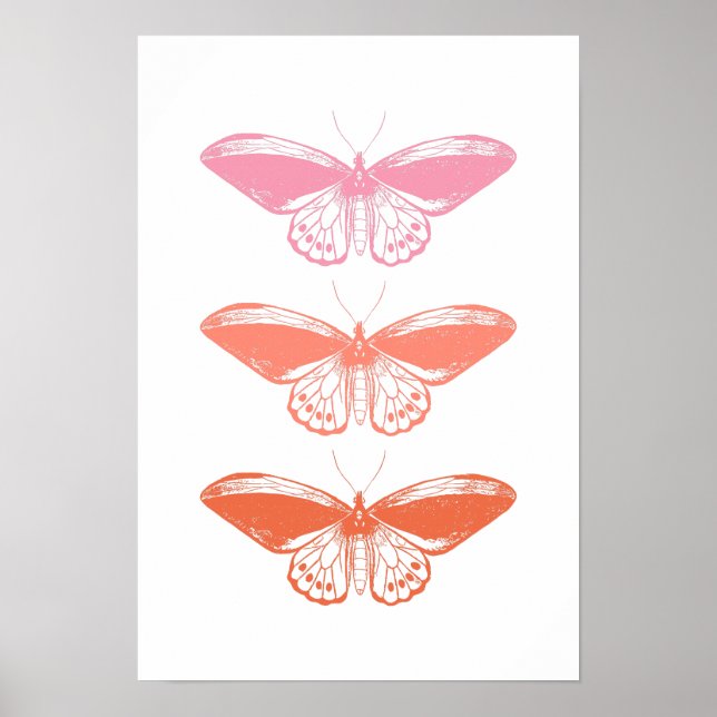 Poster Ilustração da borboleta rosa-pintada de safra (Frente)