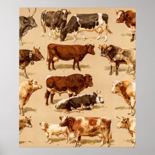 Pôster Ilustração da fazenda das vacas de leiteria de