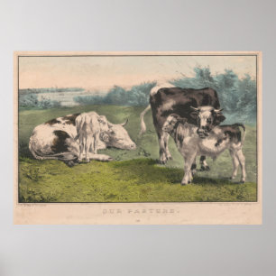 Poster Ilustração da fazenda de gado do vintage (1856)