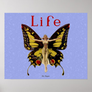 Poster Ilustração da Mulher Voando Borboleta Flapper