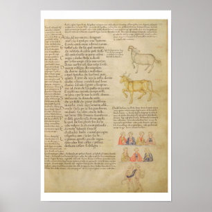 Poster Ilustração da página fol.171 da Senhora Italien