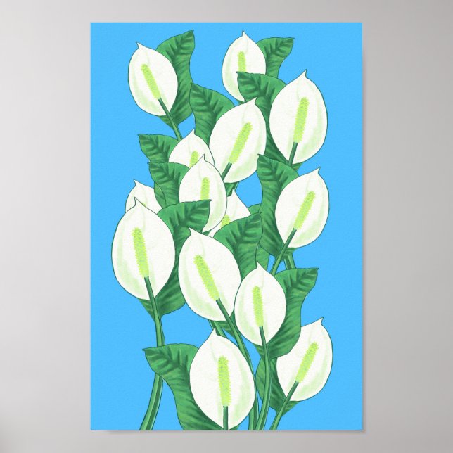 Poster Ilustração da Peace Lily (Frente)
