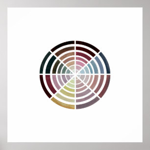 Poster Ilustração da Vintagem da Roda de Cor do Tom da Ca