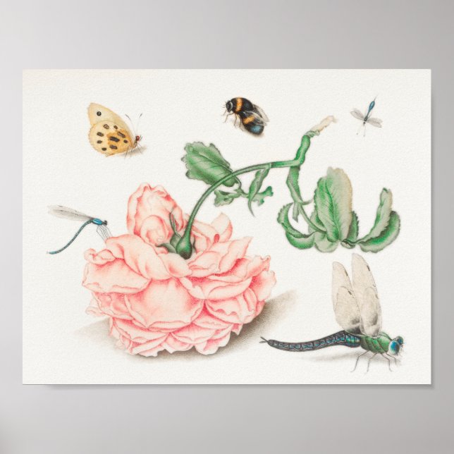 Poster Ilustração de Abelhas Vintage (Frente)