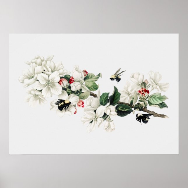 Poster Ilustração de Abelhas Vintage (Frente)