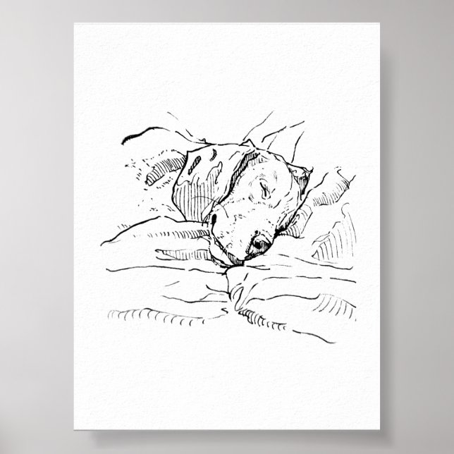 Poster Ilustração de Amante de Cães Beagle  (Frente)