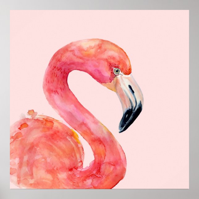 Pôster Ilustração de Aquarela de Pássaros Flamingo, de Ve (Frente)