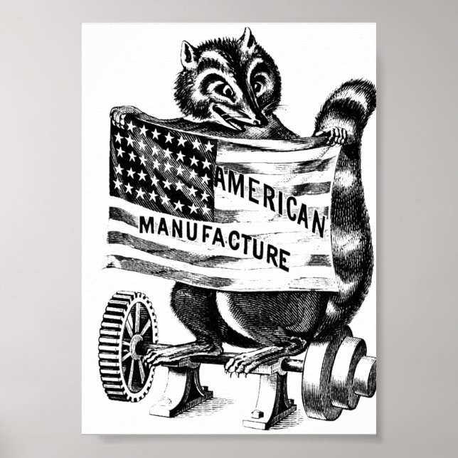 Poster Ilustração de Arte Política Americana Racoon (Frente)