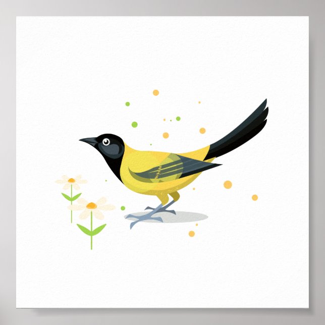 Poster Ilustração de aves (Frente)