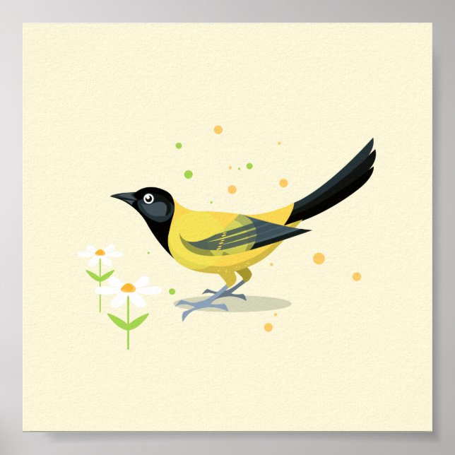 Poster Ilustração de aves (Frente)