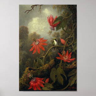 Poster Ilustração de Aves Vintage