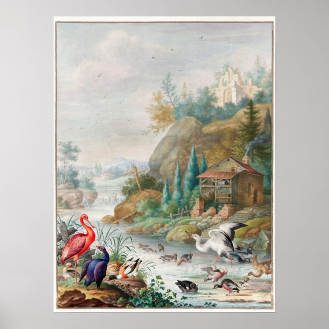 Poster Ilustração de Aves Vintage (Frente)