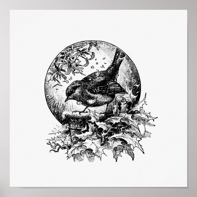 Poster Ilustração de Aves Vintage (Frente)