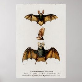 Poster Ilustração de Bat Vintage
