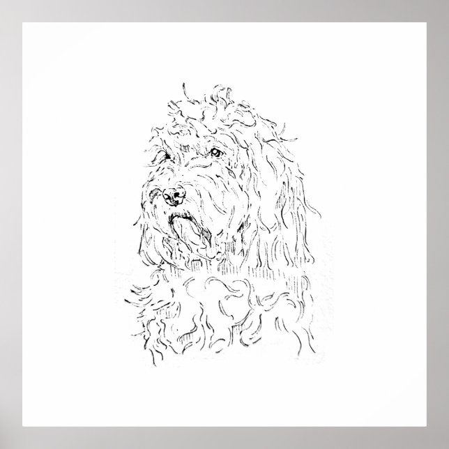 Poster Ilustração de Cachorro, Arte de Parede Cockapoo (Frente)