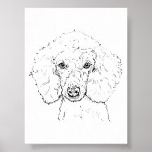 Ilustração de Cachorro Poodle Fofo, Desenhado à Mã
