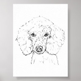 Poster Ilustração de Cachorro Poodle Fofo, Desenhado à Mã