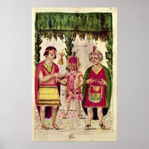 Pôster Ilustração de Cincheroca