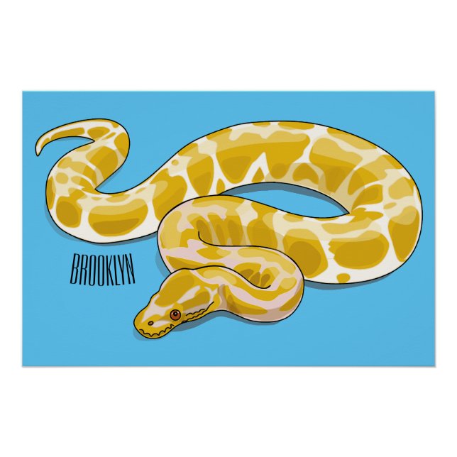 Pôster Ilustração de cobra de pitão birmanês (Frente)
