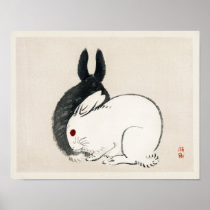 Poster Ilustração de Coelho
