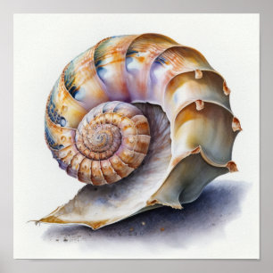 Poster Ilustração de Concha Espiral Pérola e Lavanda