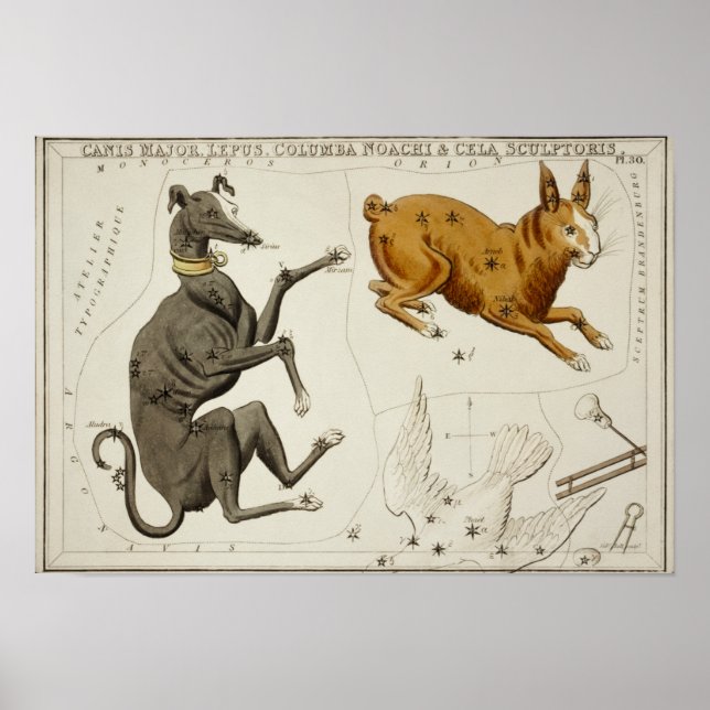 Poster Ilustração de Constelação de Vintage (Frente)