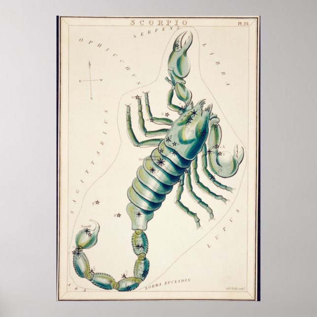 Poster Ilustração de Constelação de Vintage (Frente)