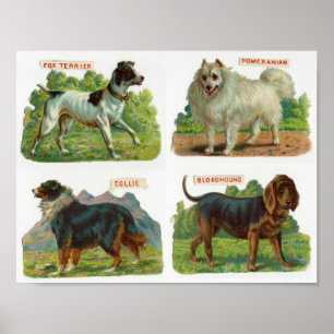 Poster Ilustração de Criação de Cães Vintage