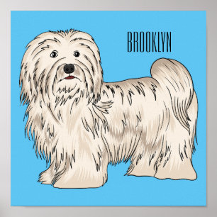 Poster Ilustração de desenho animado de cão Havanês