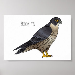 Poster Ilustração de desenho animado de pássaros falcões 