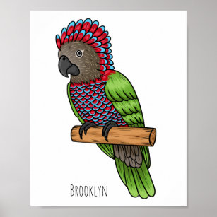 Poster Ilustração de desenho animado de pássaros-papagaio