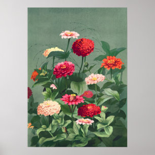 Poster Ilustração de Flor de Vintage
