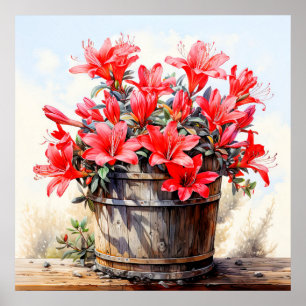 Poster Ilustração de Flor Lily Blooming
