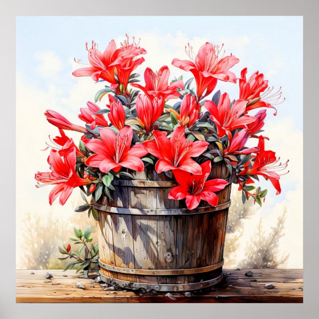 Poster Ilustração de Flor Lily Blooming (Frente)