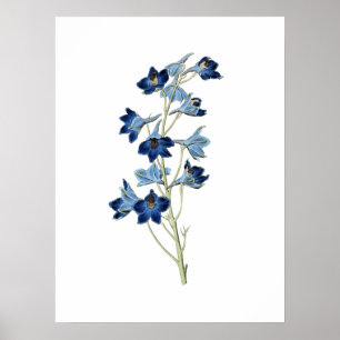Poster Ilustração de Flores Selvagens de Bluebells