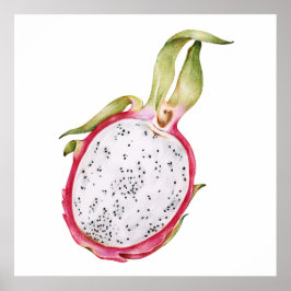 Poster Ilustração de fruta do dragão desenhado à mão