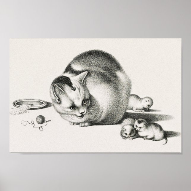 Poster Ilustração de Gato de Vintage (Frente)