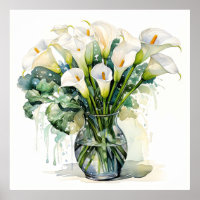 Ilustração de Lírios Calla Picados Freshamente