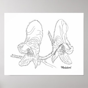 Poster Ilustração de Monkshood