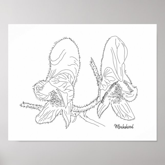 Poster Ilustração de Monkshood (Frente)