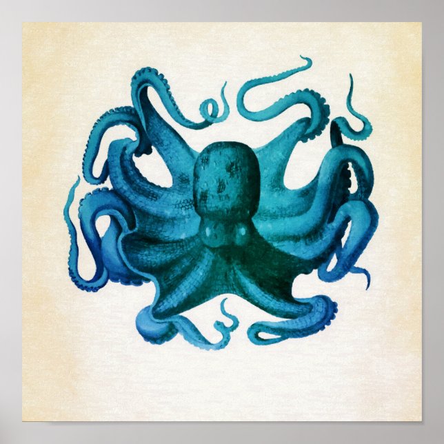 Pôster Ilustração de Octopus de Aquarela (Frente)