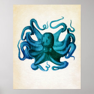 Pôster Ilustração de Octopus de Aquarela