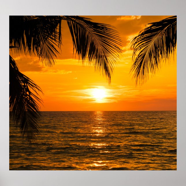 Poster Ilustração de Palm Sunset Beach Tropical (Frente)