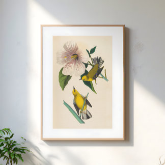 Poster Ilustração de Pássaros Amarelos Vintage em Flor